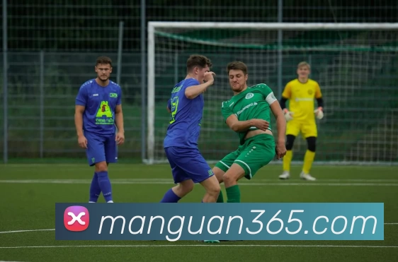 满贯体育365平台生态图