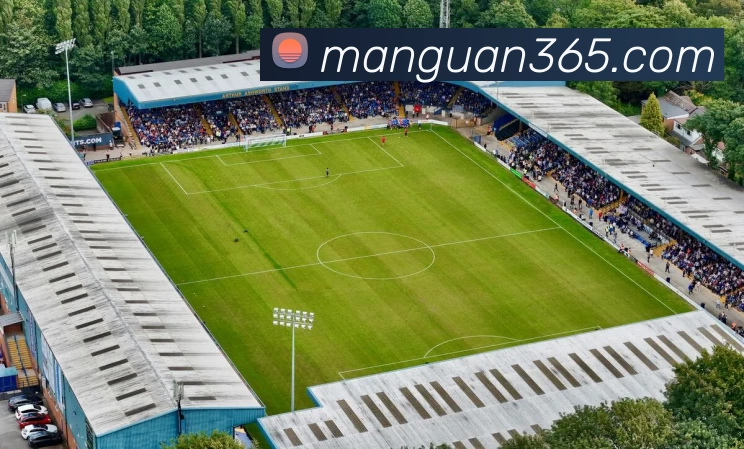 满贯体育365APP 封面图